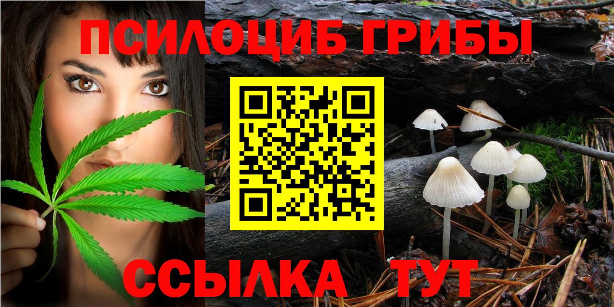 Псилоцибиновые грибы ЛСД  Вход с VPN  Зеленогорск 