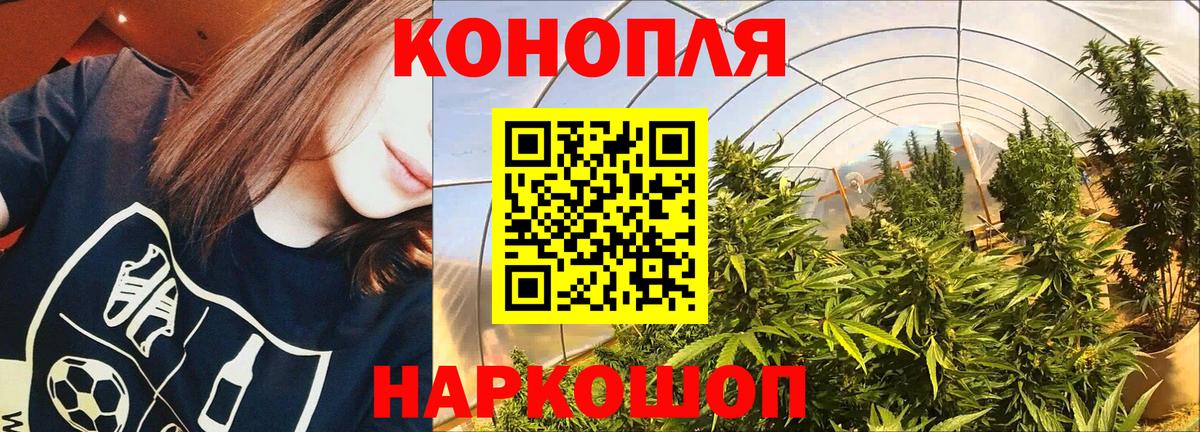МАРИХУАНА SATIVA & INDICA  Вход с VPN  Шишки марихуана OG Kush  Каннабис Ganja  Зеленогорск 